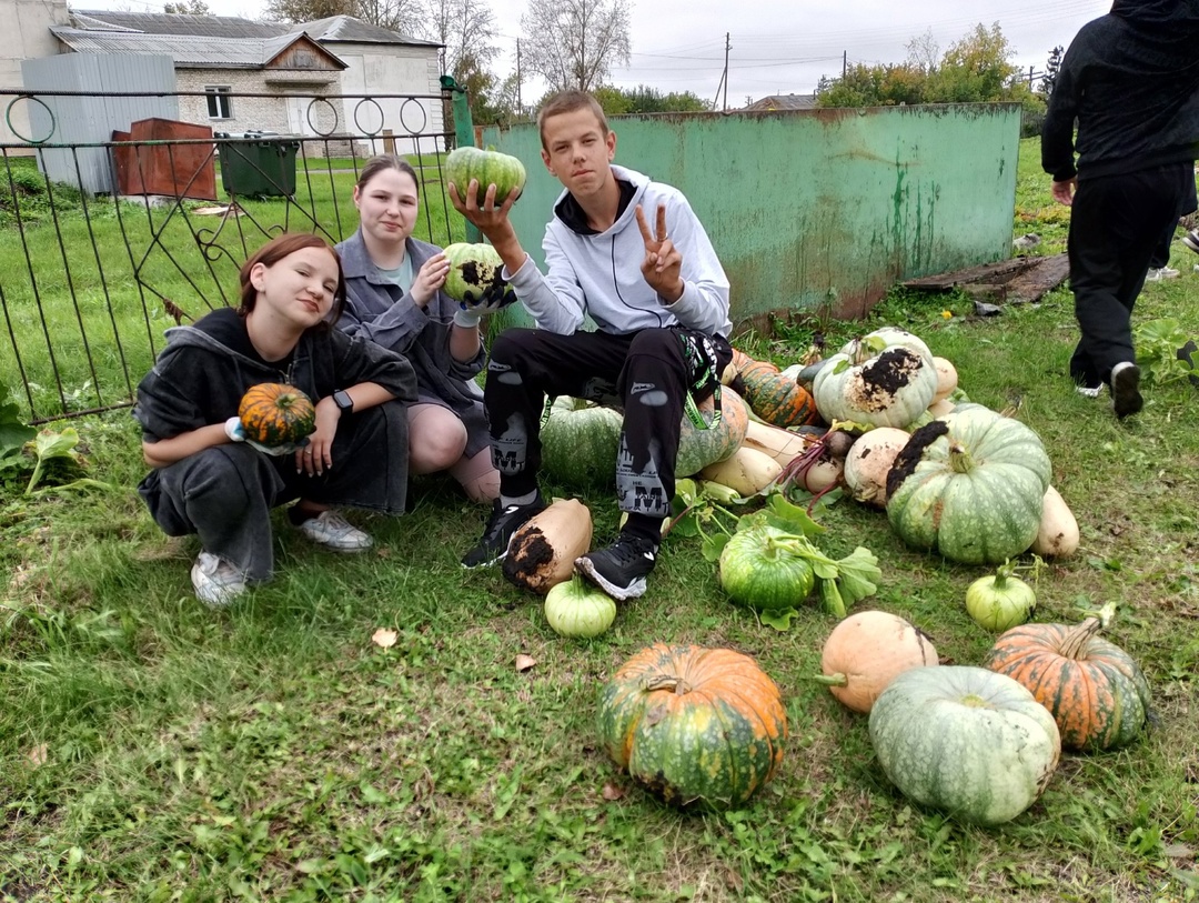 Трудовое воспитание.